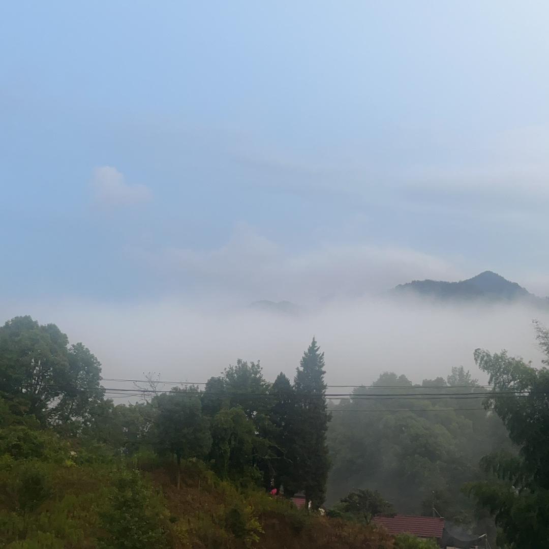 LI供应链