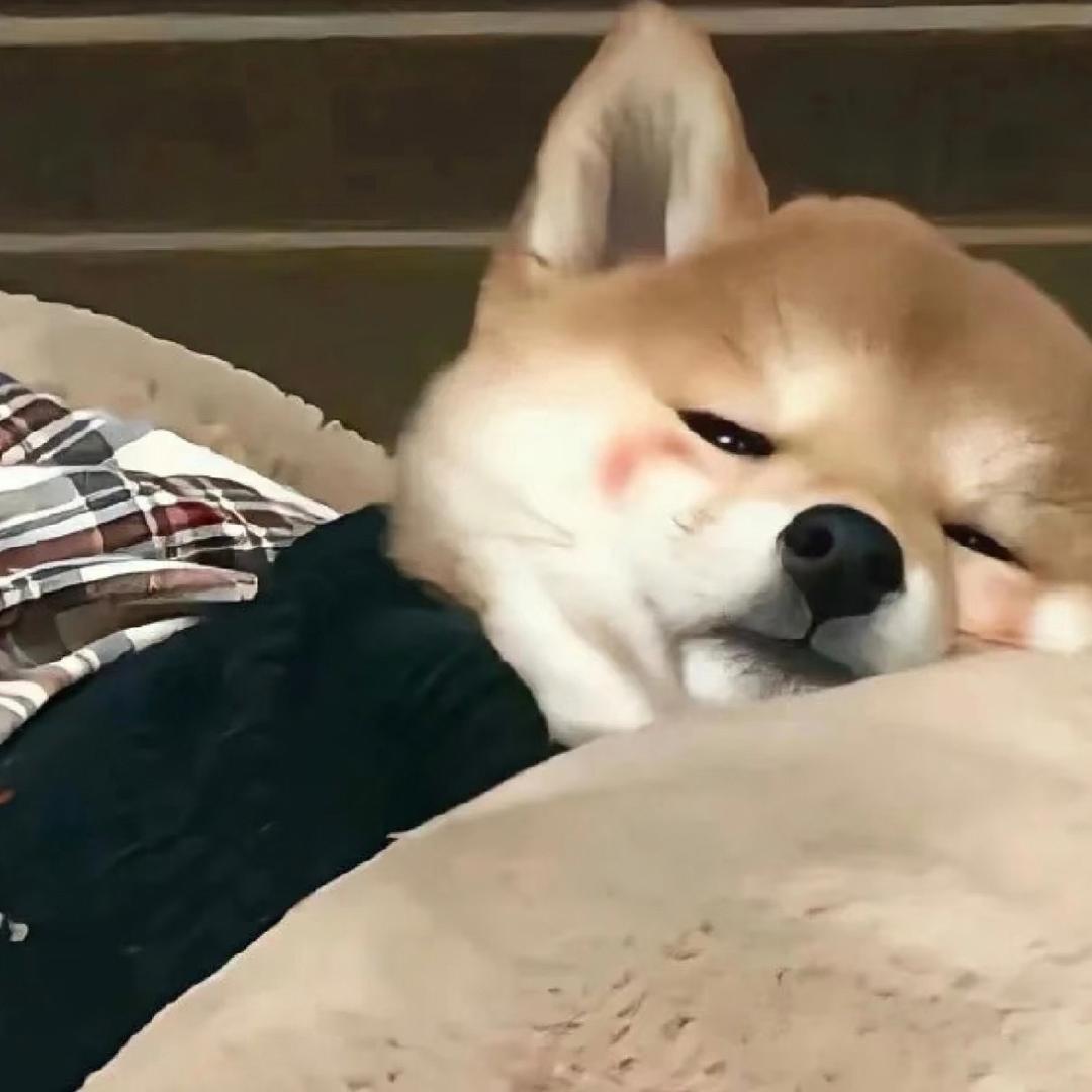 俊小子