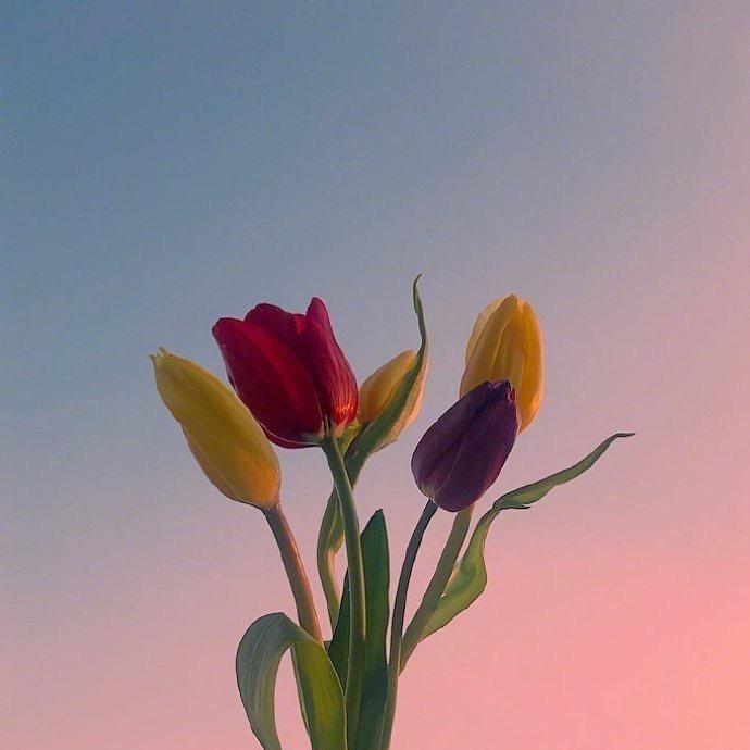 一抹晨曦