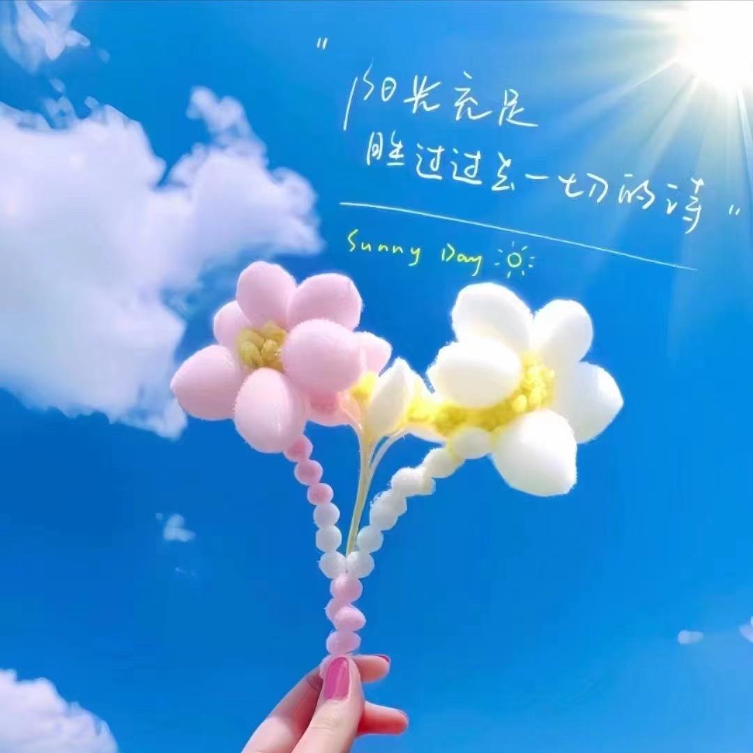鑫心❤️