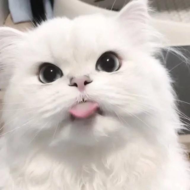 Qi Ze.