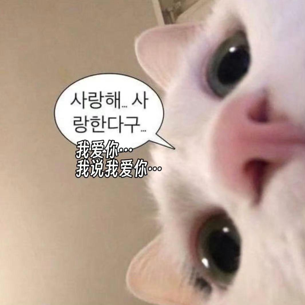 咪咪mi