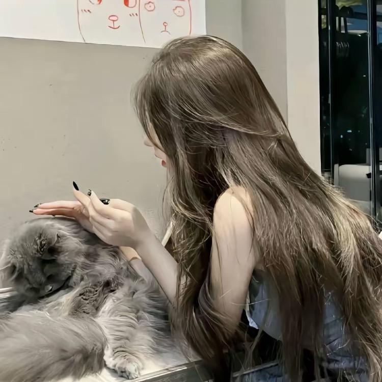 爱动的箱子