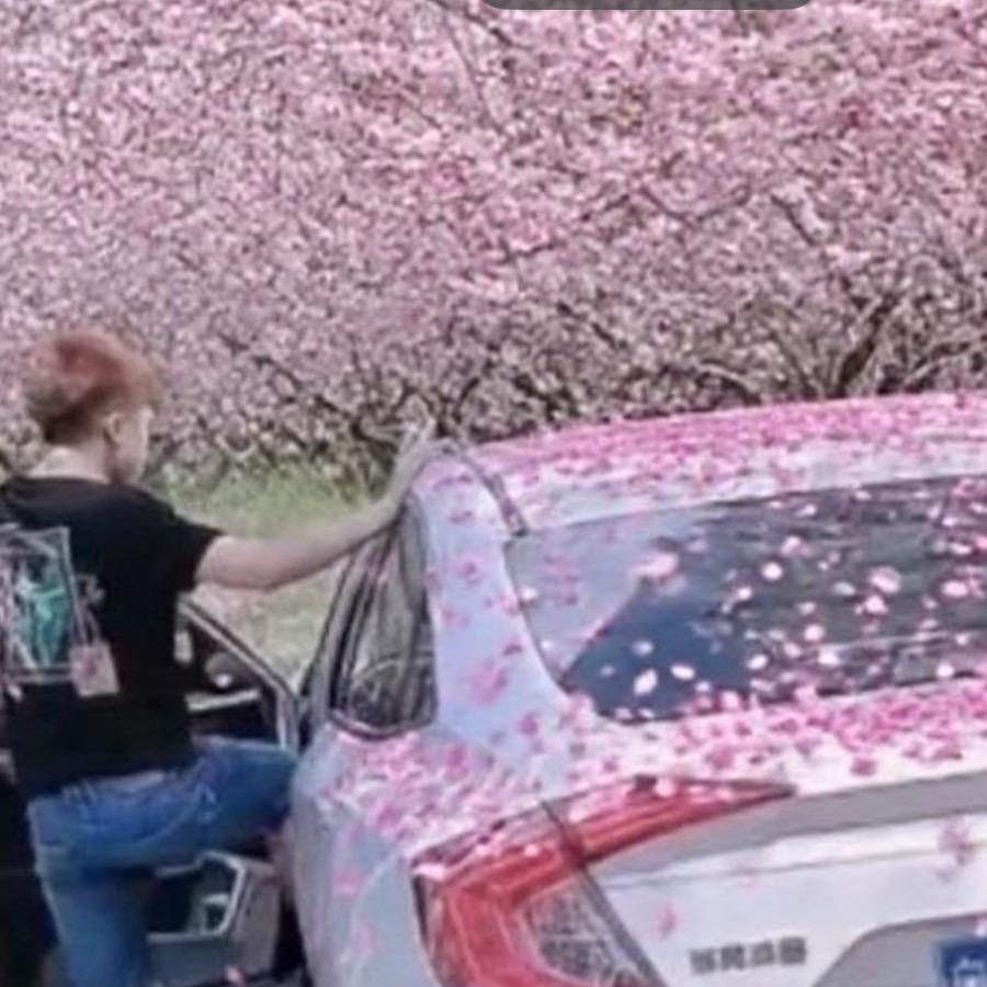 我在沙漠等你🙆‍♀️