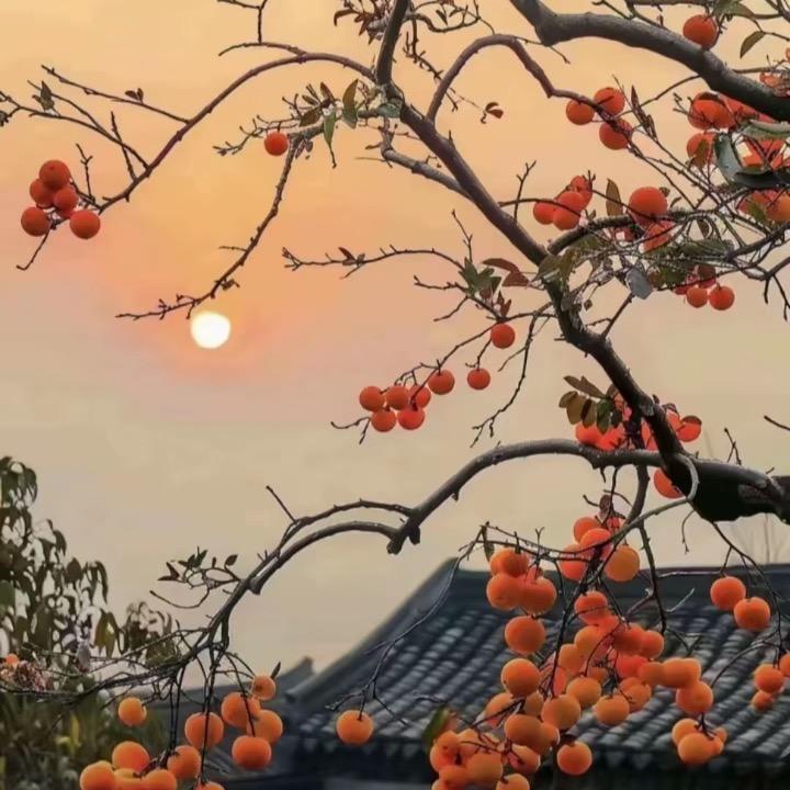 无锡迅鹏数控科技有限公司