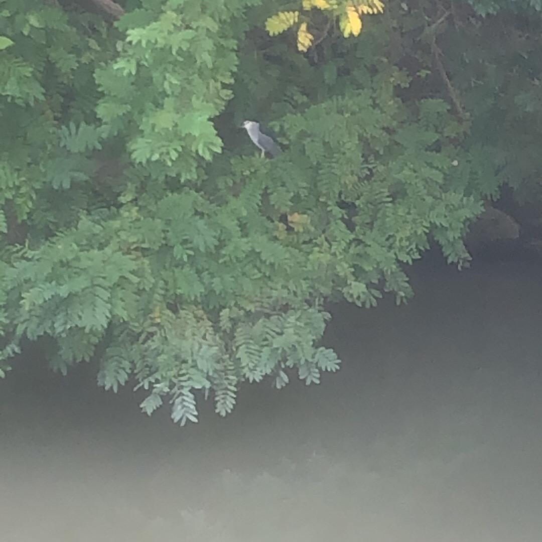 沙漠