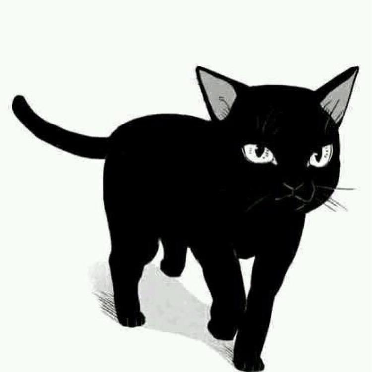 书逸动漫
