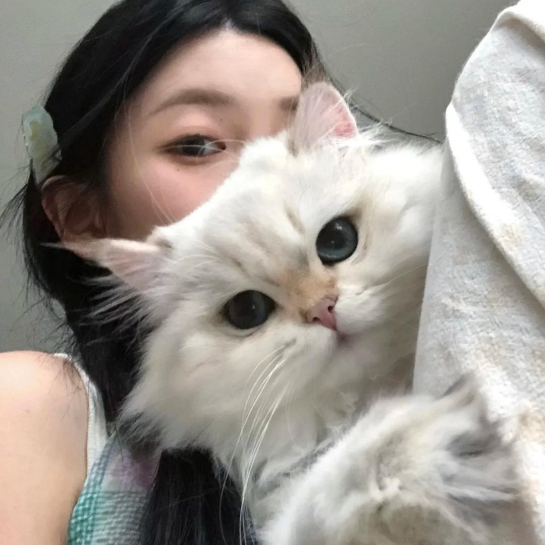 ᨐ好困↣