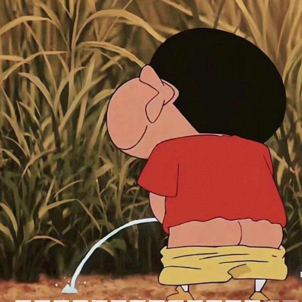 只喜欢你的八月瓜