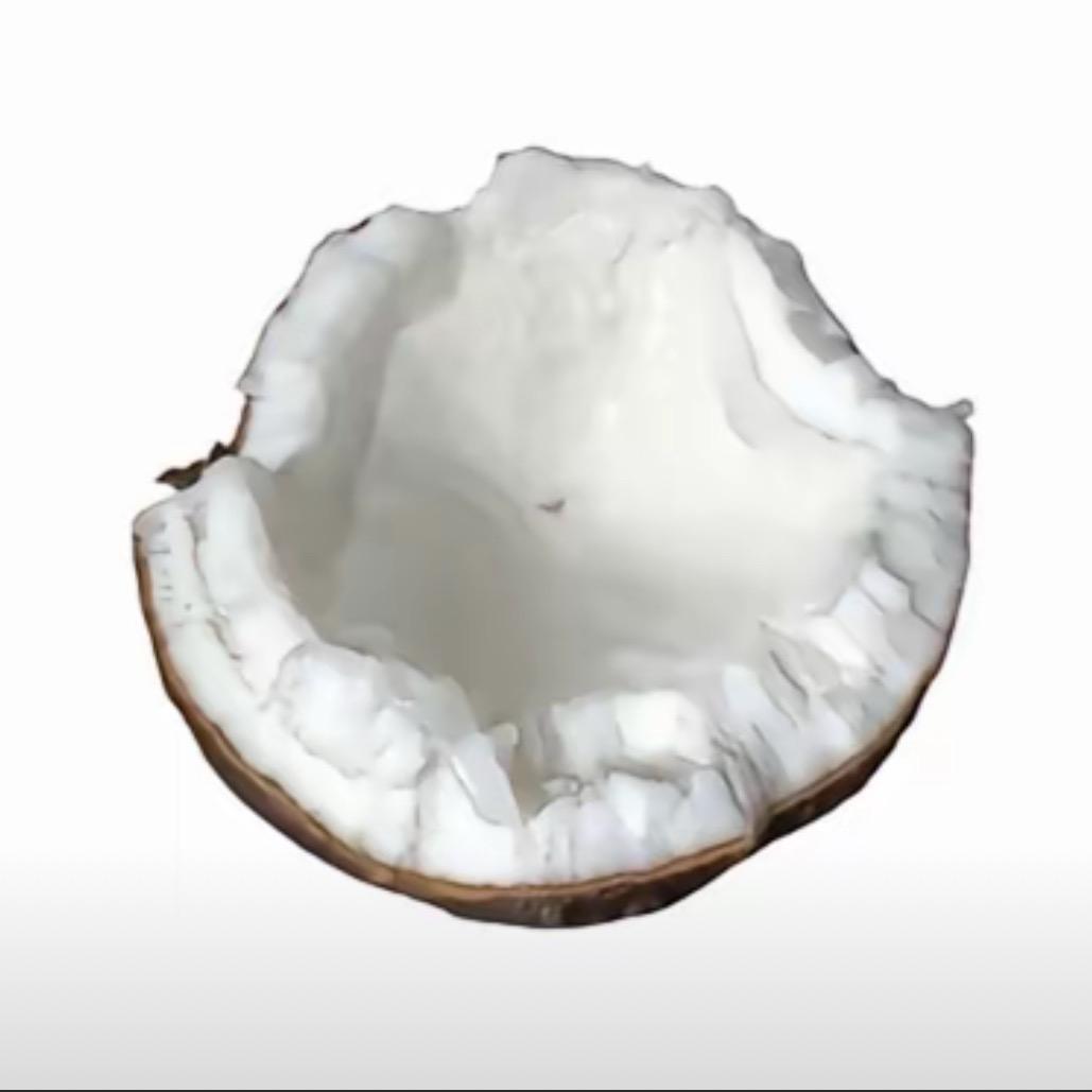 岁岁椰🥥