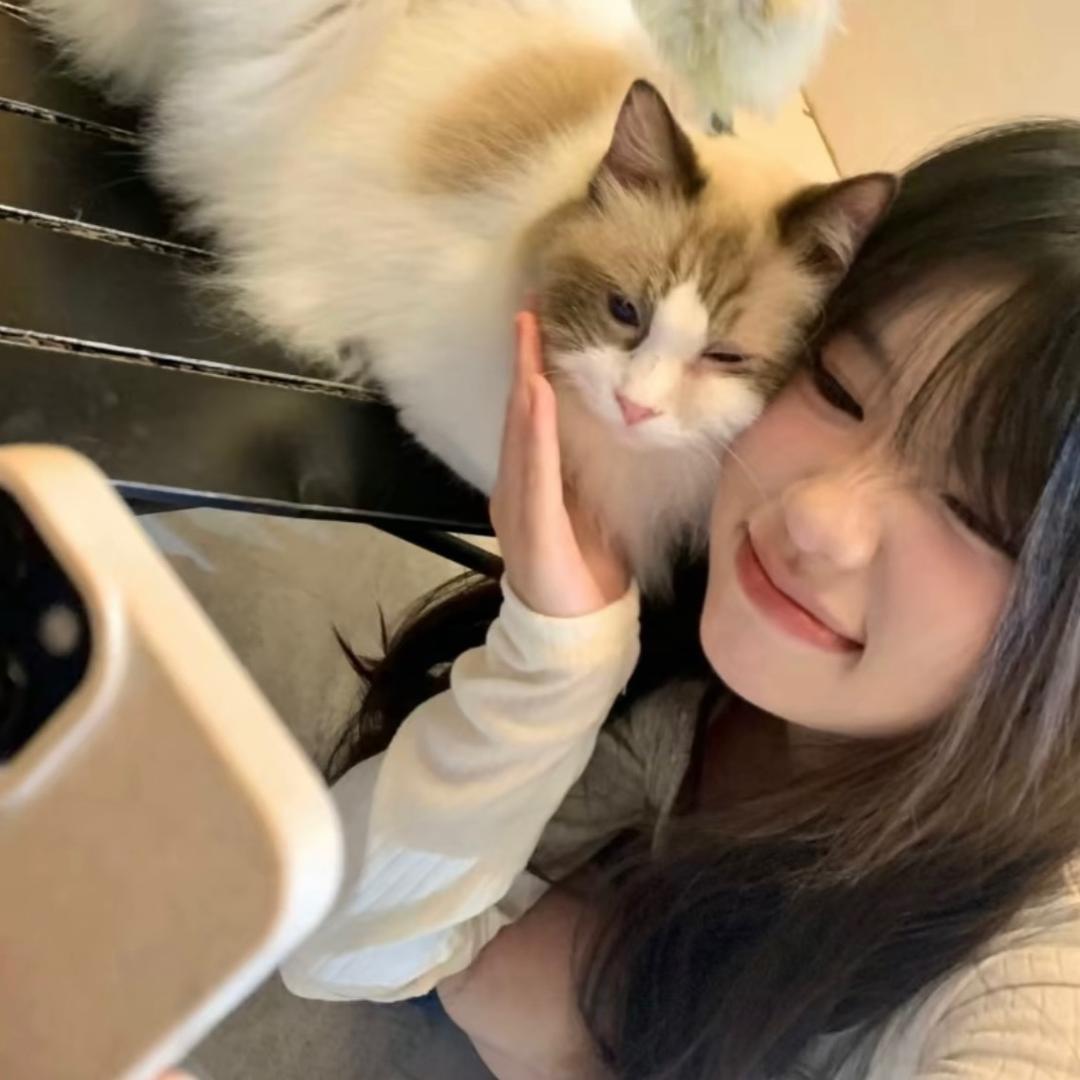 画不完的圆