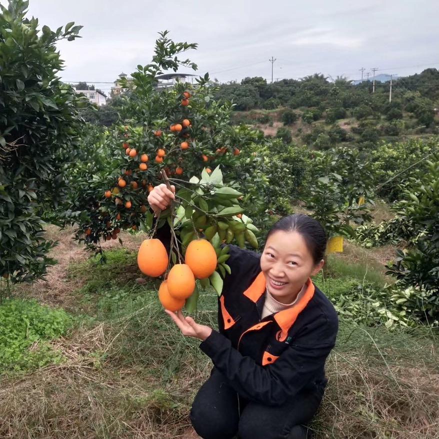 橙纽妞水果