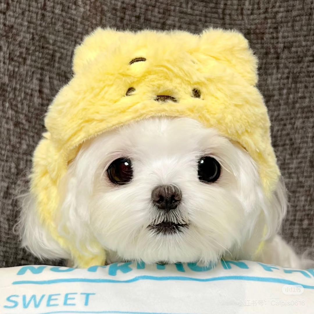 爱喝养乐多.