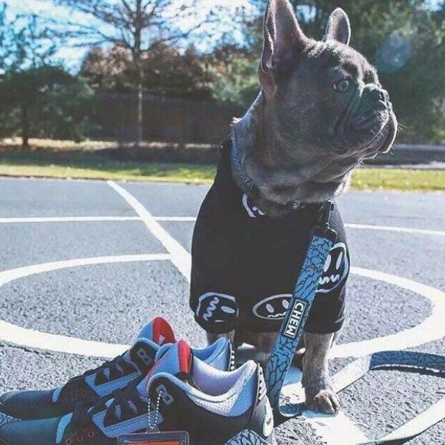 啊呸呸呸