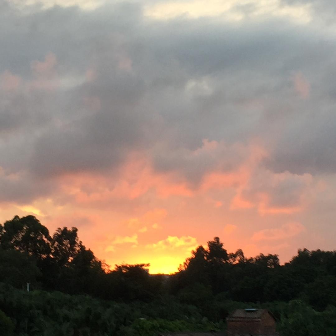 饮水机+