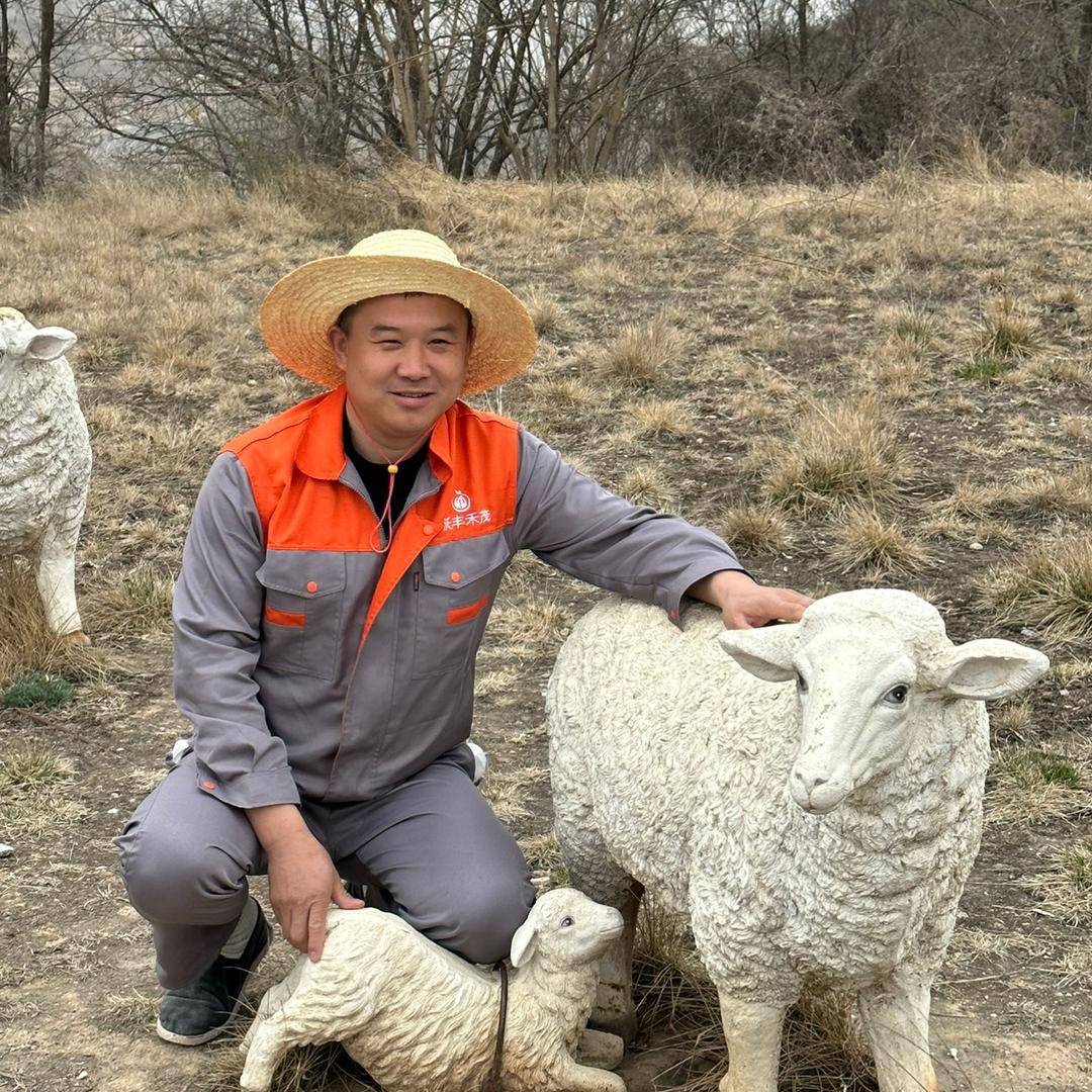 郭大奋农家肥（羊粪）