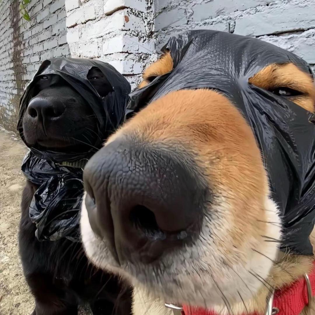 ….