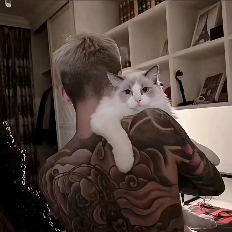 迪力