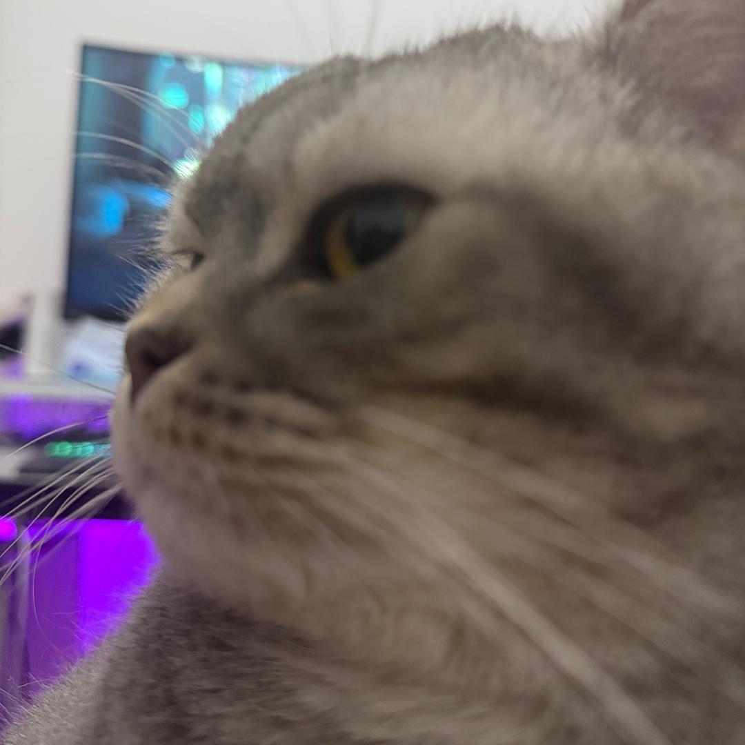 Cxwannytry