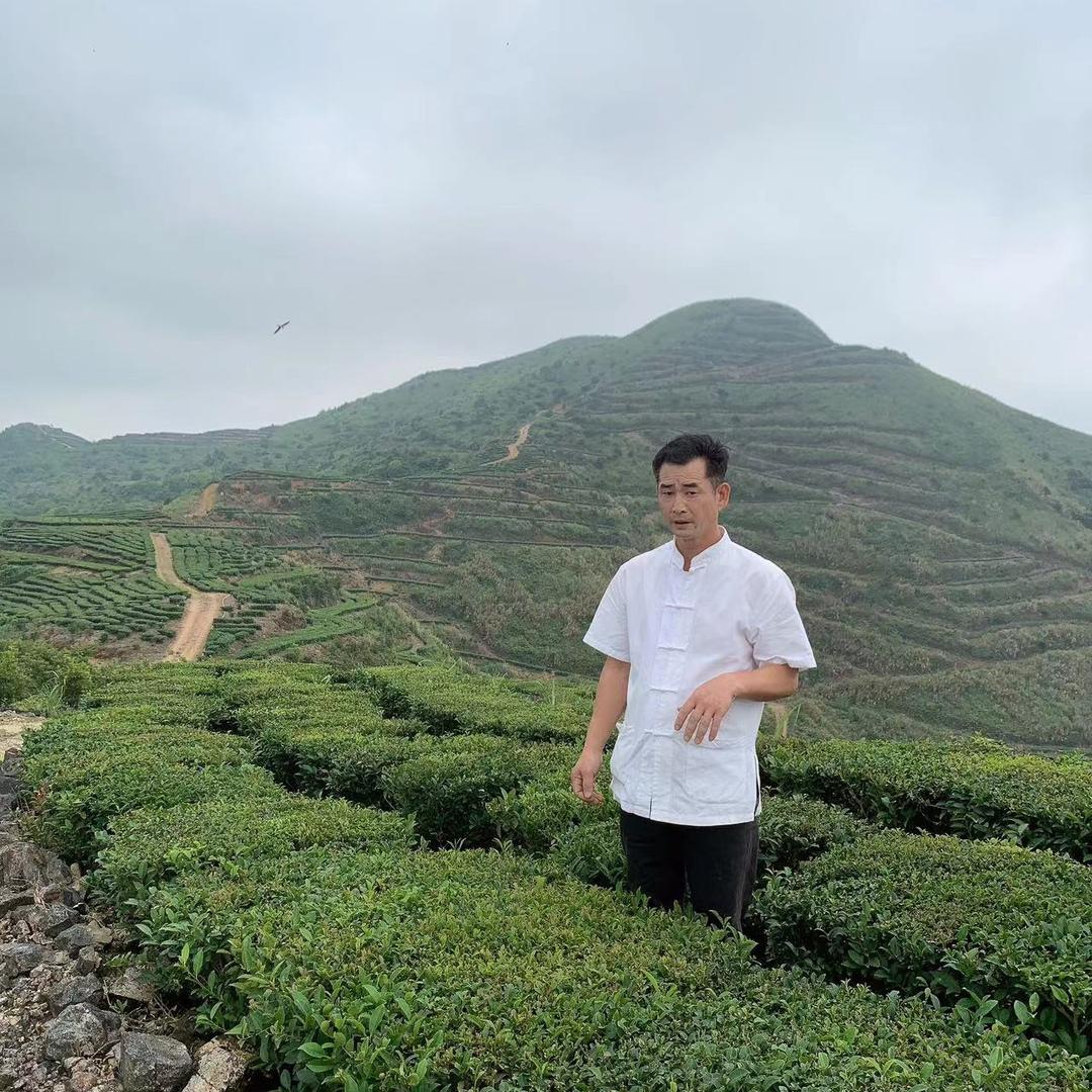 坪上青坷茶业林金财