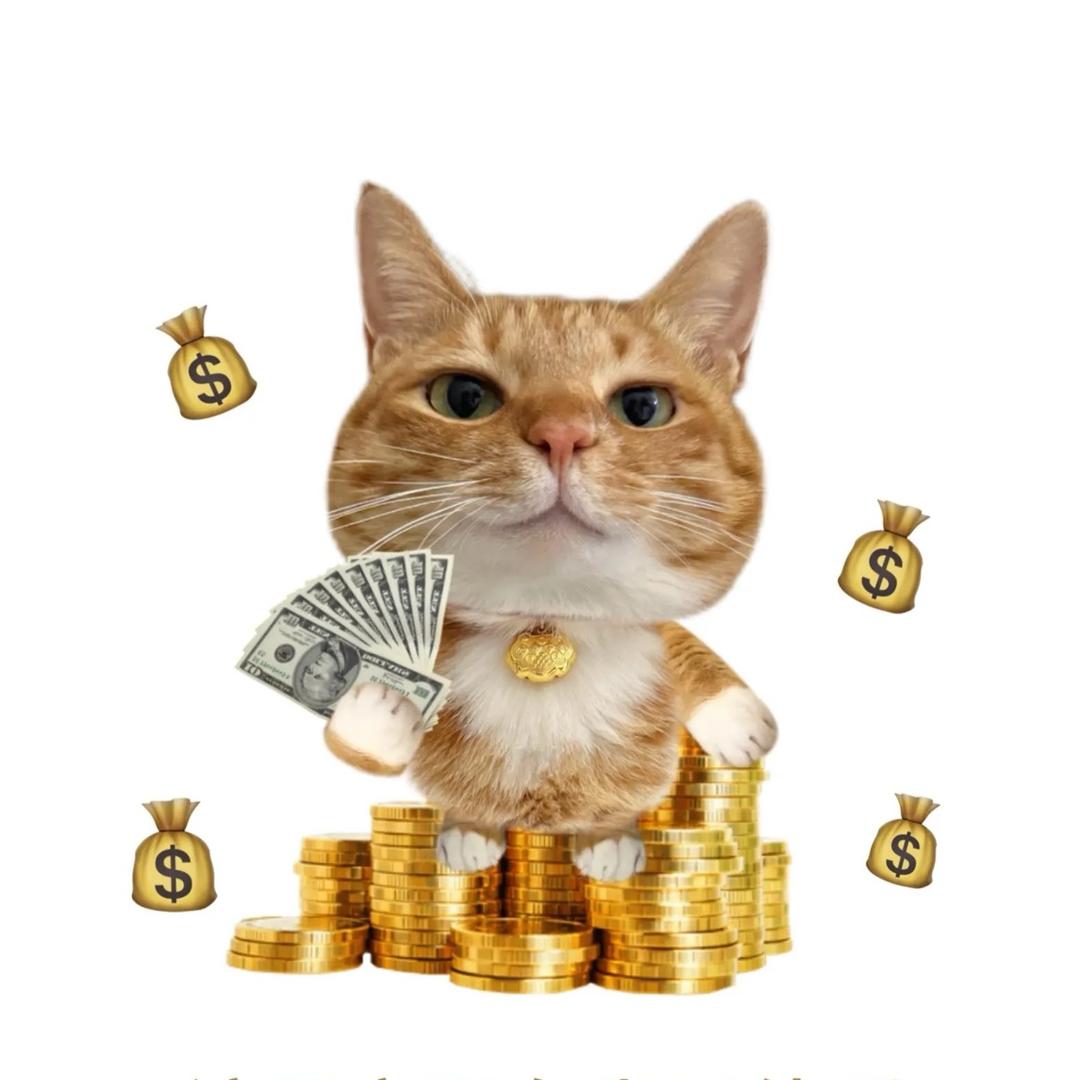 周佳雪-（幸运版）