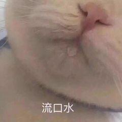 悠然自得6688