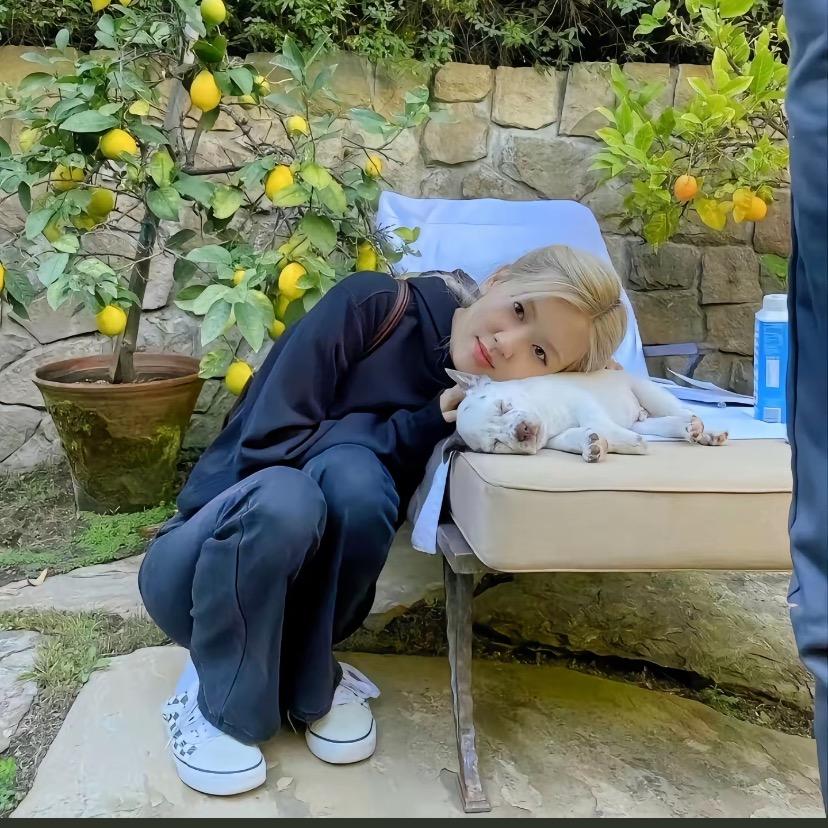 泡什么菜🐈