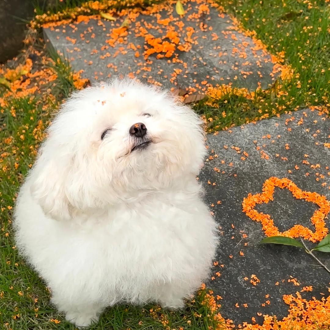 这一秒最重要👀