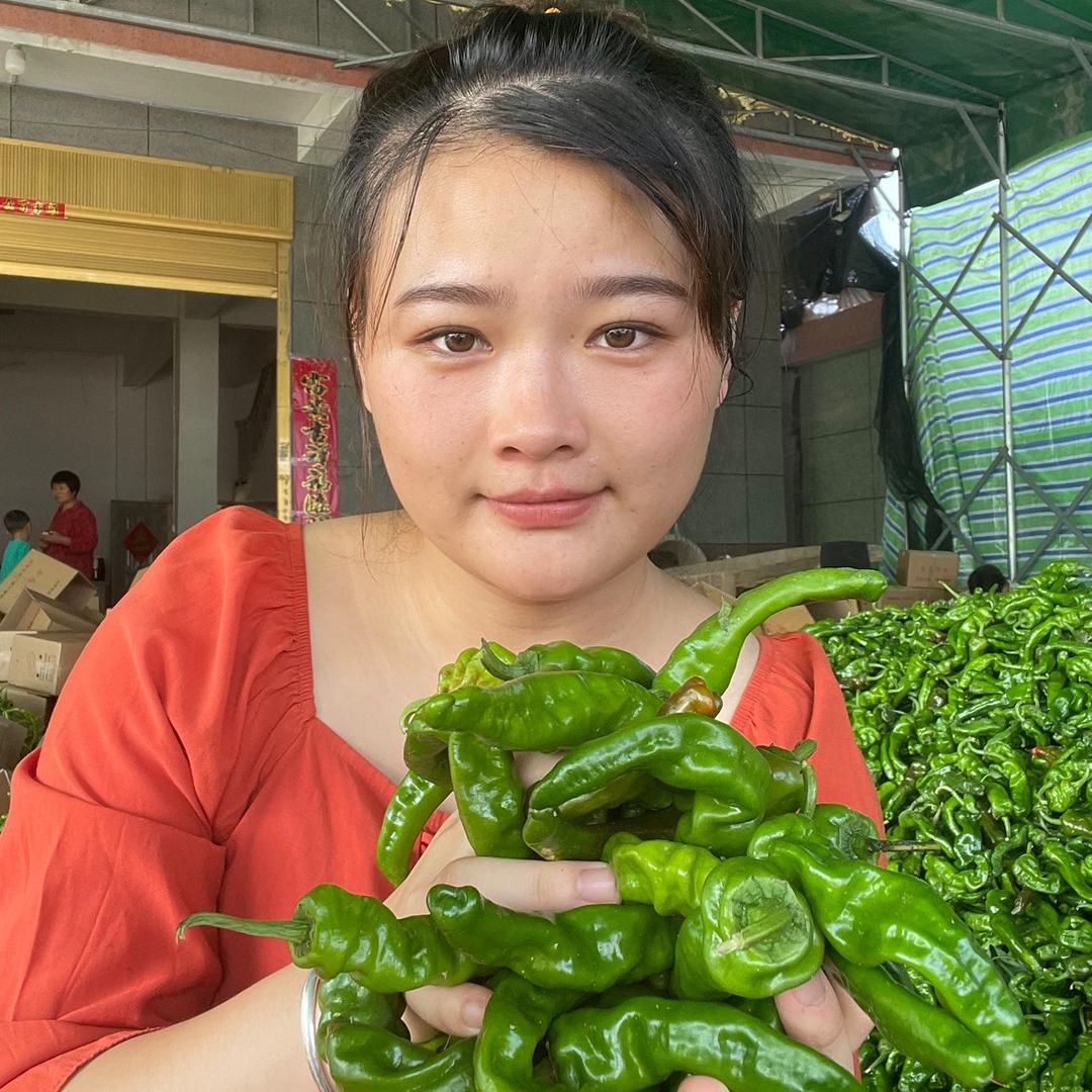 小莉的菜园子