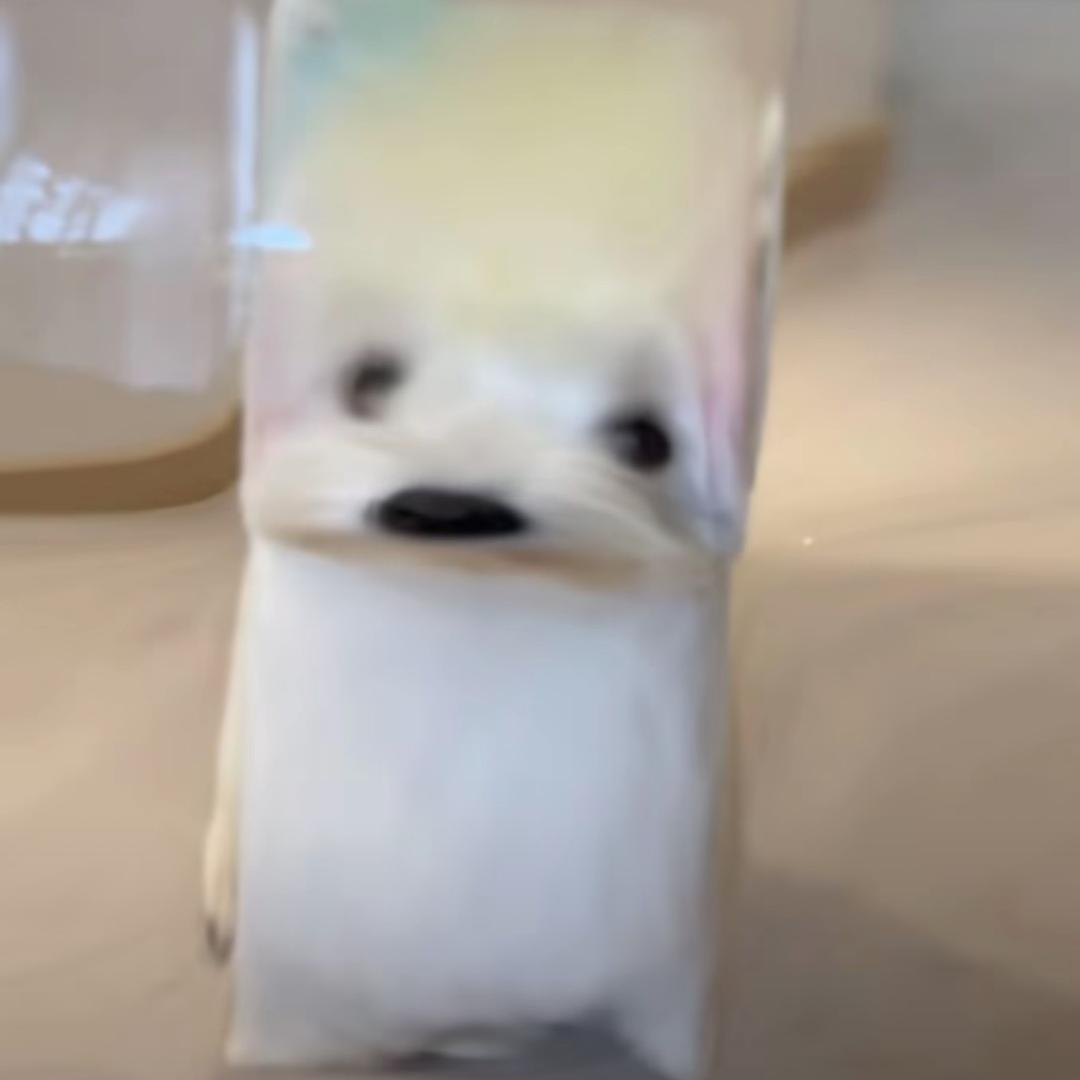不续词
