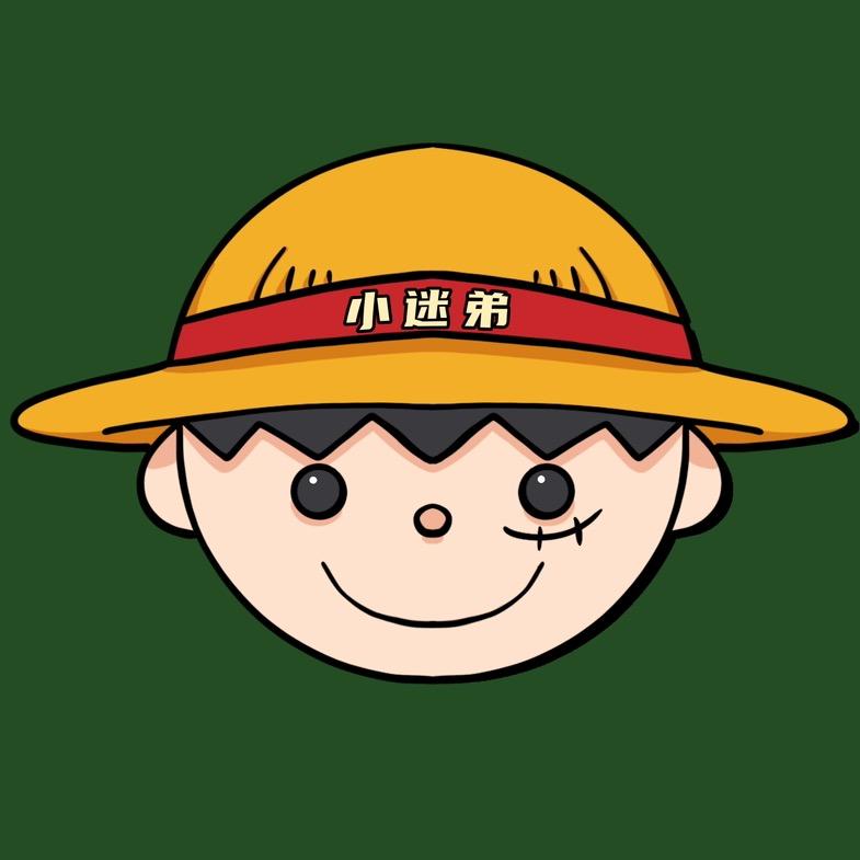 海贼小迷弟@抖音