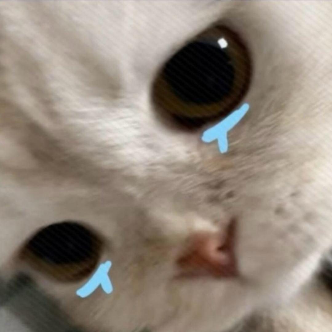 有点小u伤