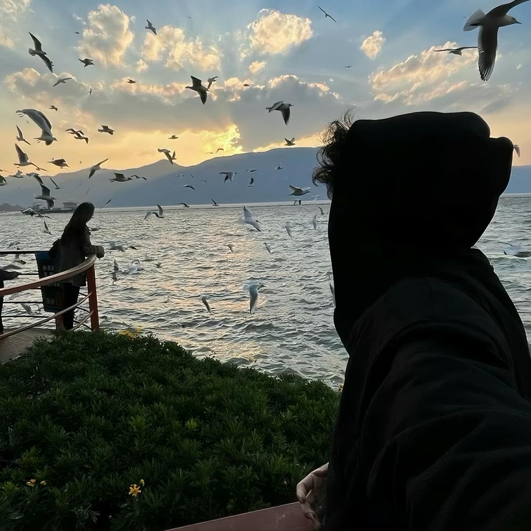 续集