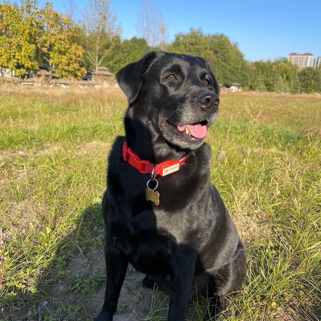 -K宝🐶