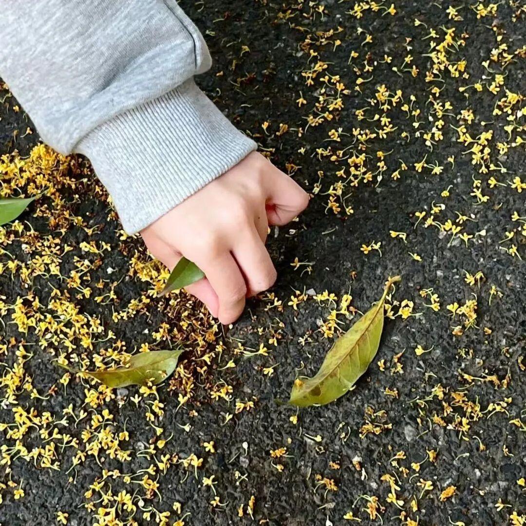 蒜了⁸