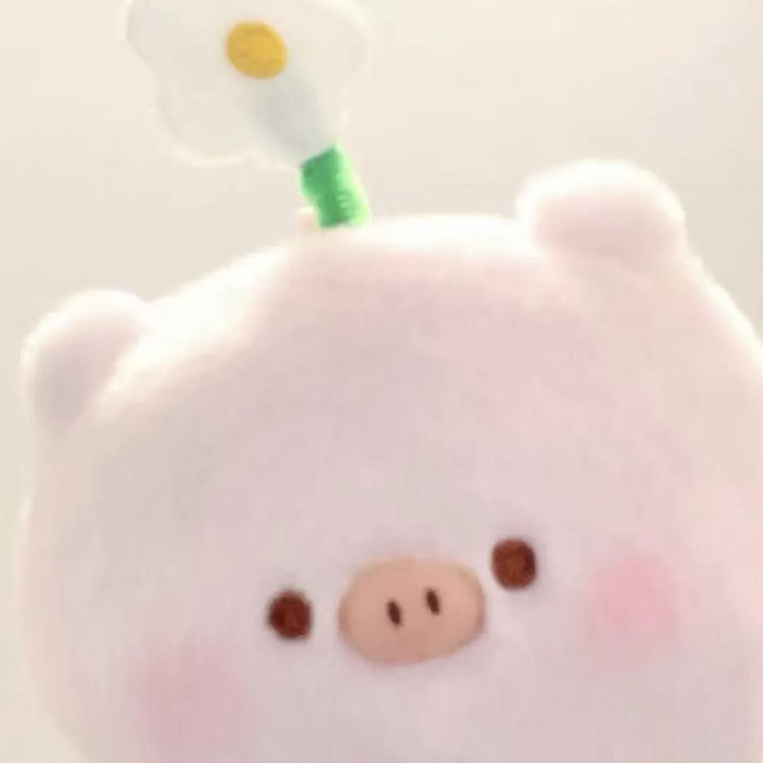 无敌暴龙