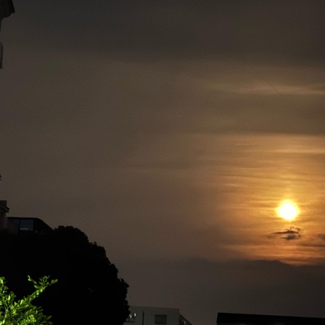 许宅烧烤/卤肉凉菜一体店