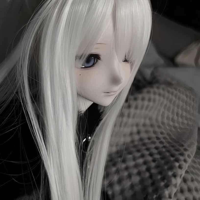 小鹊
