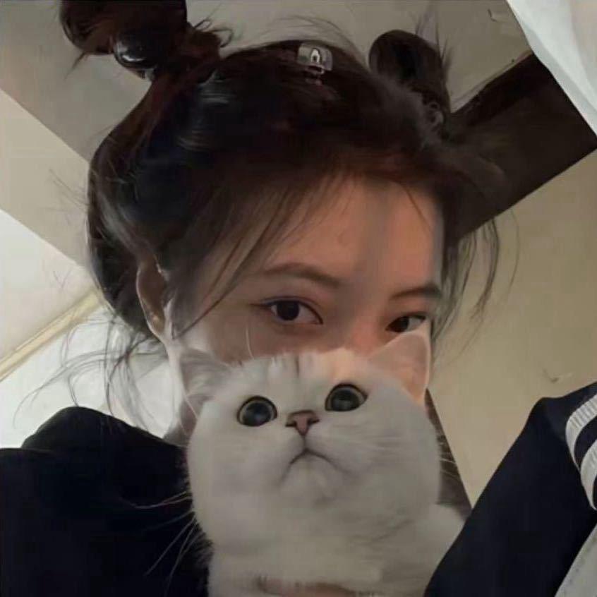 Q^qi