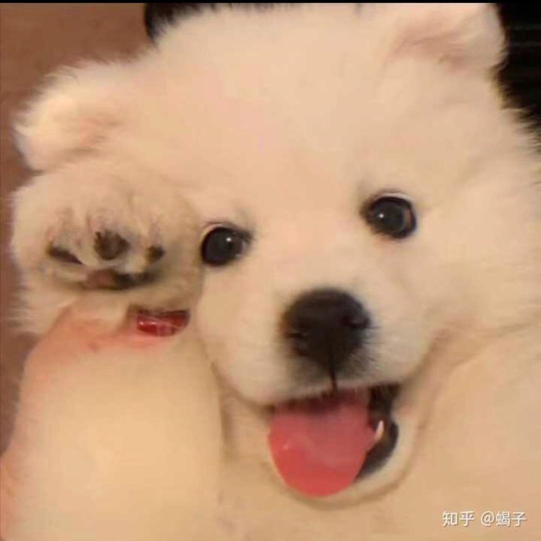 冉🤍