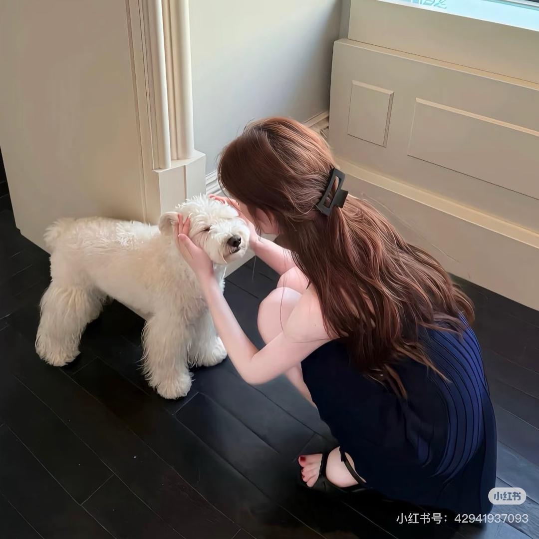 腼腆小美