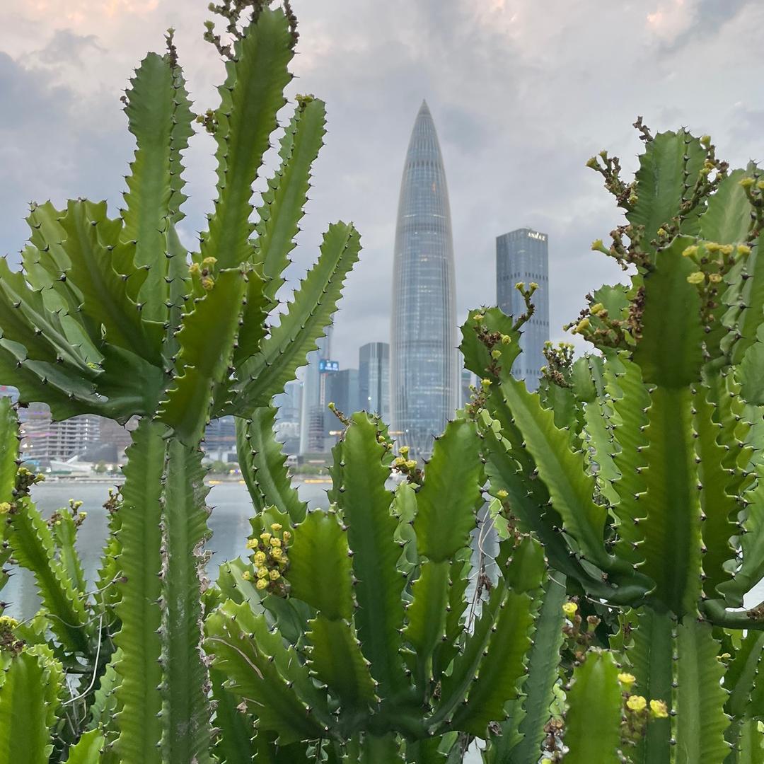 深圳小曼