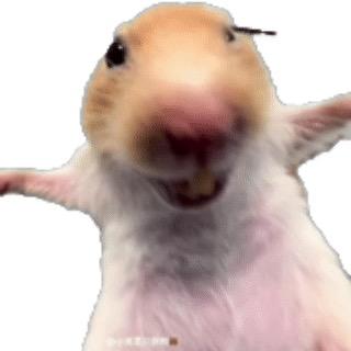 小木