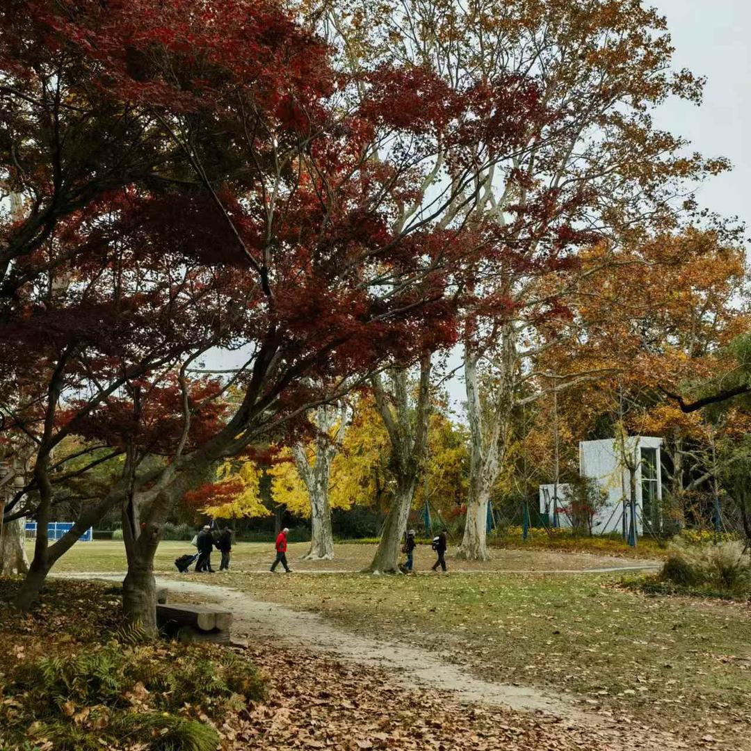 新年需要新气象