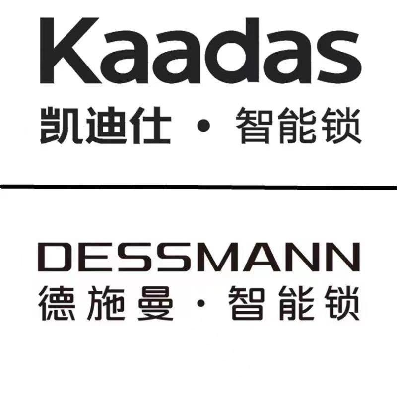 凯迪仕/德施曼 智能门锁 实体店