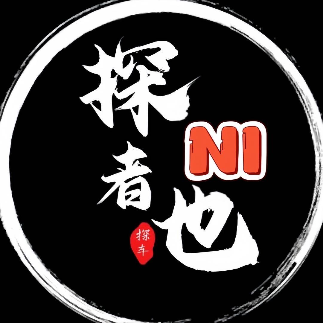 探NI者也（侃车）