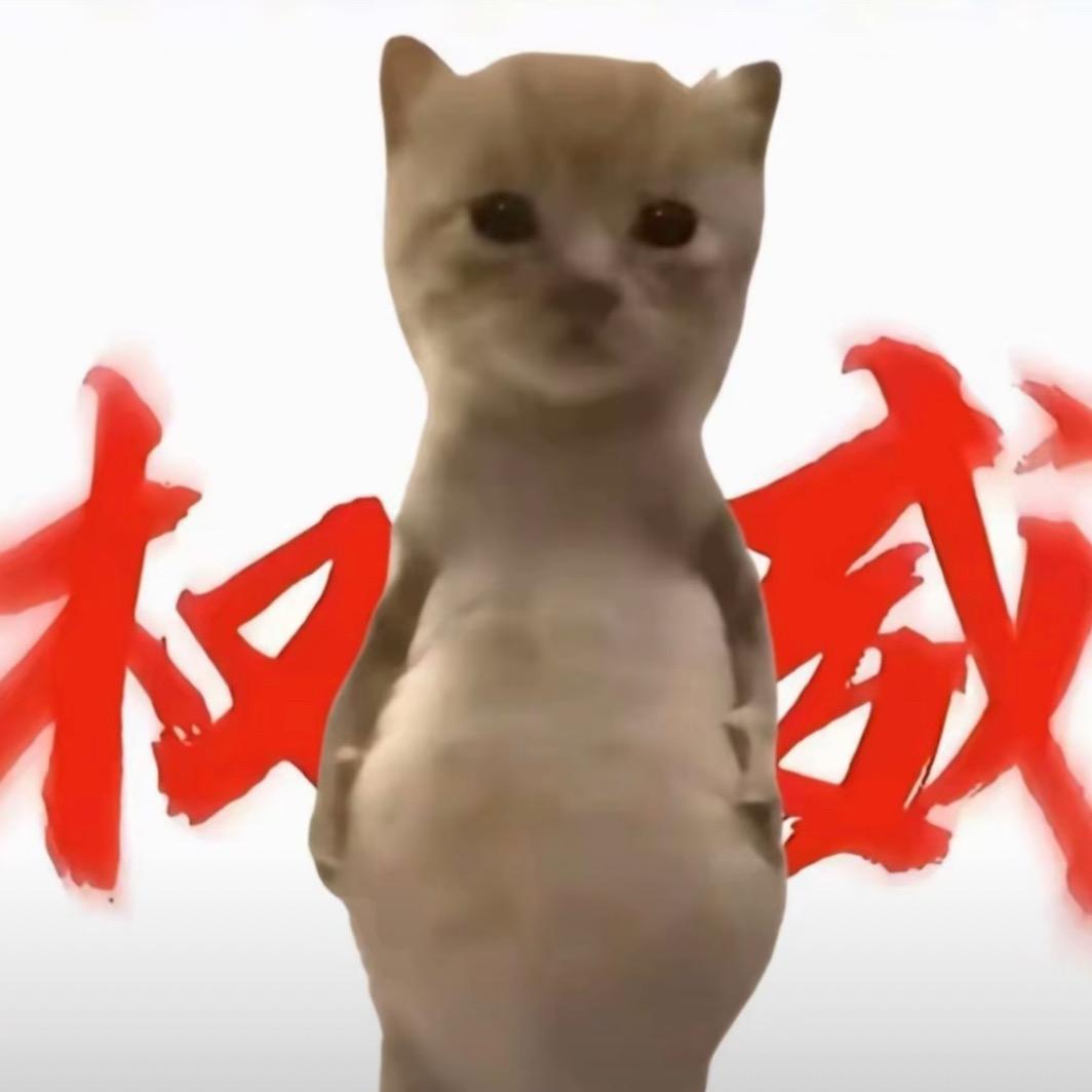 韬韬