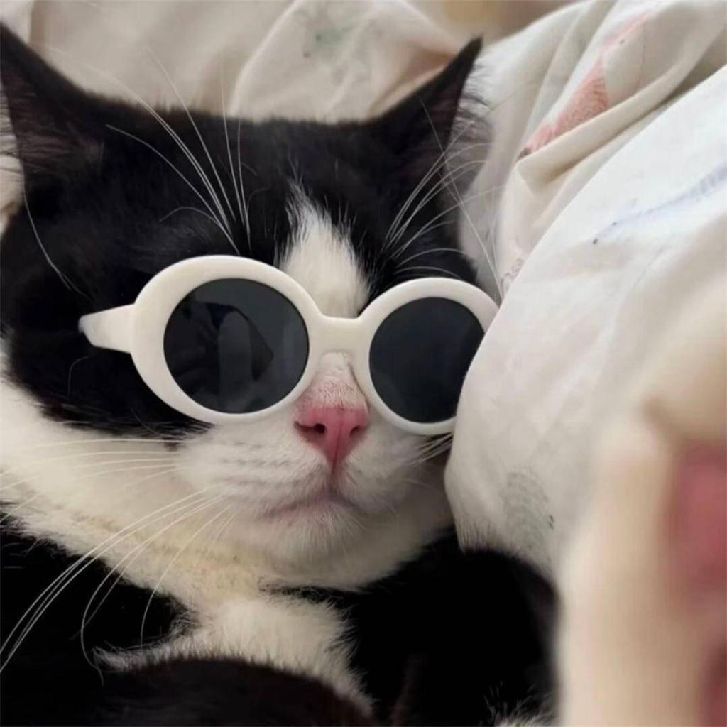 乖乖不乖🐈‍⬛🐈‍⬛