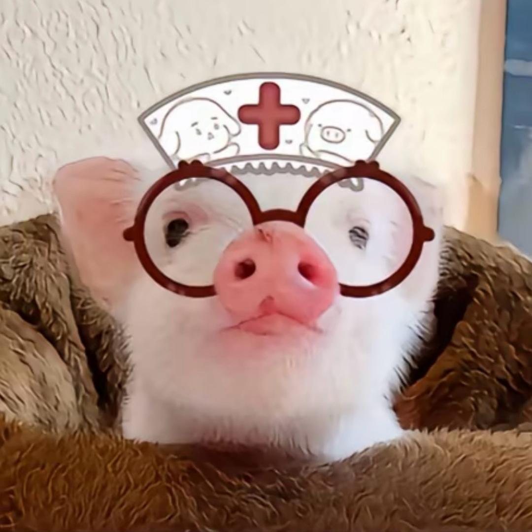 不诚实总爱说谎v