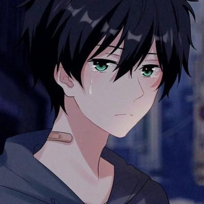 没逮感情